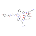 α-neodynorphin