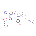 angiotensin III