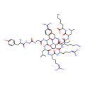 dynorphin A-(1-13)
