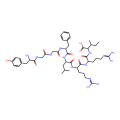 dynorphin A-(1-8)