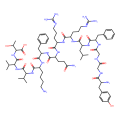 dynorphin B