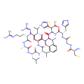 INSL3 B chain dimer analogue 8