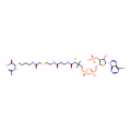 Lys-CoA