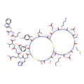 sarafotoxin S6b