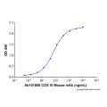 Recombinant Human COX IV Protein