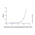 Recombinant Human Isocitrate Dehydrogenase 1/IDH1 Protein