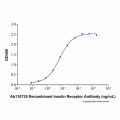 Recombinant Human Insulin R/CD220 Protein