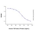 Recombinant Human TGF-beta 2 Protein