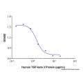 Recombinant Human TGF-beta 3 Protein