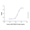 Recombinant Human LIGHT/TNFSF14 Protein