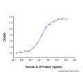 Recombinant Human IL-9 Protein