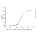 Recombinant Human Growth Hormone Protein