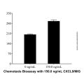 Recombinant Mouse CXCL9/MIG Protein