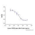 Recombinant Human FGFR2 alpha (IIIb) Protein
