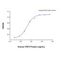 Recombinant Human FGF-5 Protein 