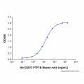 Recombinant Human PTP1B Protein