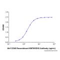 Recombinant Human KMT6/EZH2 Protein