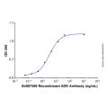 Recombinant Human Adenosine Kinase/ADK Protein