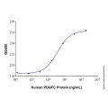 Recombinant Human PDGF-CC Protein