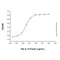 Recombinant Rat IL-4 Protein