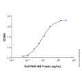 Recombinant Rat PDGF-BB Protein
