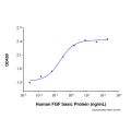 Recombinant Human FGF basic/FGF2 Protein