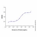 Recombinant Human IL-4 Protein
