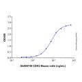 Recombinant Human CDK2 Protein