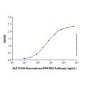 Recombinant Human PFKFB3 Protein