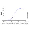 Recombinant Human CDKN2A/p16INK4a Protein