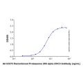 Recombinant Human Proteasome 20S Alpha 2/HC3 Protein