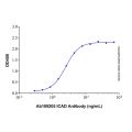 Recombinant Human ICAD Protein