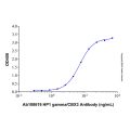 Recombinant Human HP1 gamma/CBX3 Protein