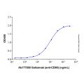 Recombinant Human B7-1/CD80 Protein