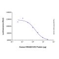Recombinant Human KRAS (G12V) Protein