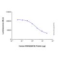 Recombinant Human KRAS (Q61H) Protein