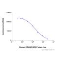 Recombinant Human KRAS (G12S) Protein
