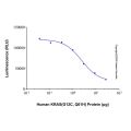 Recombinant Human KRAS (G12C, Q61H) Protein