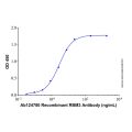 Recombinant Human RBM3 Protein