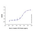 Recombinant Rat IL-1 beta/IL-1F2 Protein