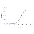 Recombinant GST-WELQ-HA-TrxA Protein