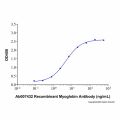 Recombinant Human Myoglobin Protein