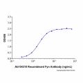 Recombinant Human Fyn Protein