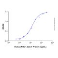 Recombinant Human NRG1-beta 1/HRG1-beta 1 EGF Domain Protein