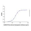 Recombinant Human Haptoglobin Protein
