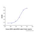 Recombinant Human NRG1-alpha/HRG1-alpha Protein
