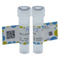Recombinant Human Fetuin B Protein