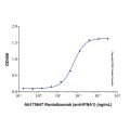 Recombinant Human IFN-alpha-1a Protein