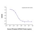 Recombinant Human IFN-alpha G/IFNA5 Protein