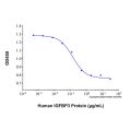 Recombinant Human IGFBP-3 Protein